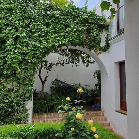 Entre 2 Mezquitas Apartman Córdoba Kültér fotó