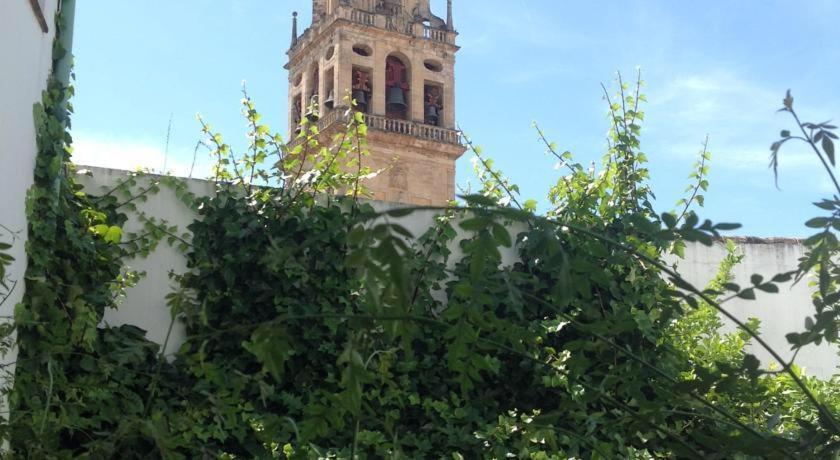 Entre 2 Mezquitas Apartman Córdoba Kültér fotó